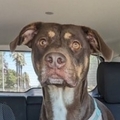   : Fiona