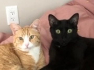   : Peter & Vincent