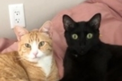   : Peter & Vincent