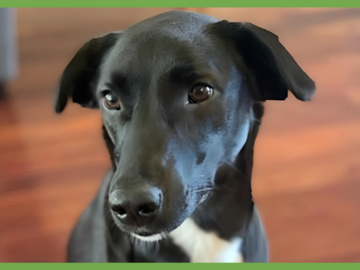  : Bella