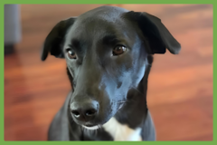  : Bella