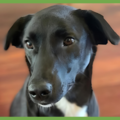  : Bella