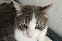   : Lucy