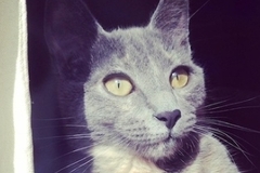   : Stormy