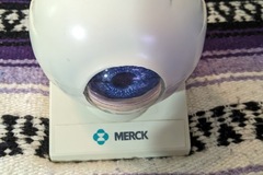 Selling with online payment: MERCK Co Anatomical Human Eye Model