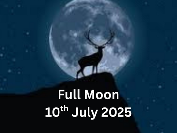 Selling: Full Moon Reading (FREE READING INSIDE)