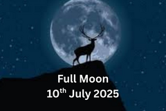 Selling: Full Moon Reading (FREE READING INSIDE)