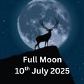 Selling: Full Moon Reading (FREE READING INSIDE)