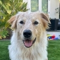   : Charlie