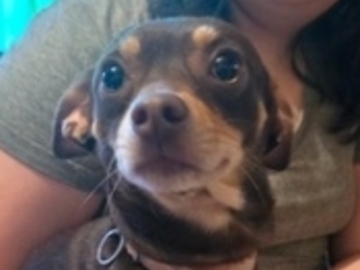   : Louie