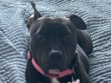   : Nala