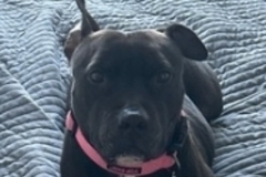   : Nala