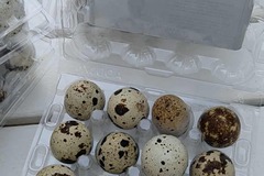 Selling with online payment: Farm Fresh Quail Eggs