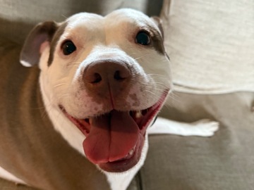   : Nala