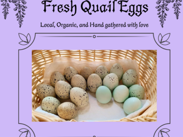 Selling with In-person Payment: Fresh Organic Quail Eggs