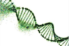 Selling: ✨ Sacred DNA Activation ✨