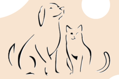 Offering: Propose garde d’animaux / pet sitting 