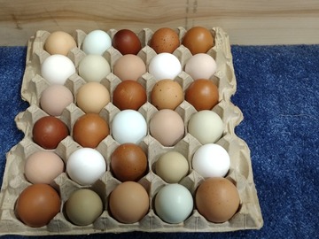 Selling with In-person Payment: farm fresh eggs 