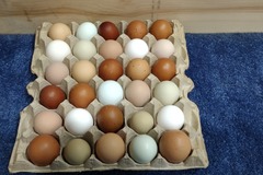 Selling with In-person Payment: farm fresh eggs 