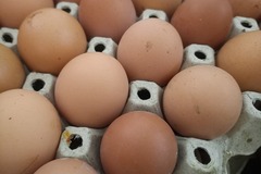 Selling with In-person Payment: Organic chicken eggs