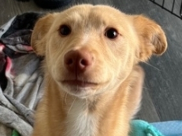   : Sasha 