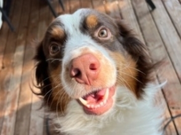   : Waylon