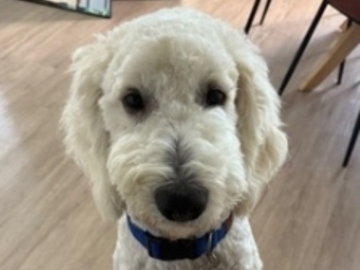   : Benny