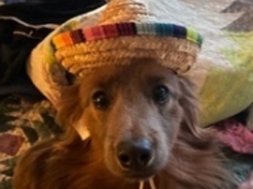   : Linus