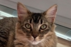   : Winnie