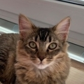   : Winnie
