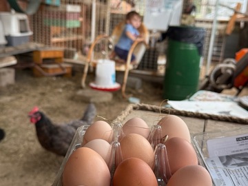 Selling with In-person Payment: Sydnees farm fresh eggs