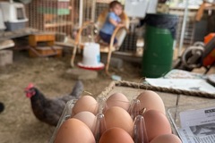 Selling with In-person Payment: Sydnees farm fresh eggs