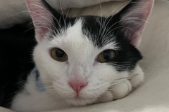   : Salem