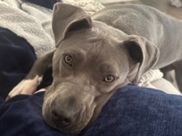   : Jada
