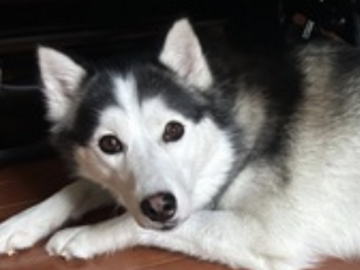   : Max