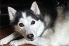   : Max