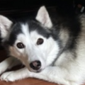   : Max