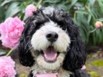   : Winnie