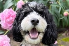   : Winnie