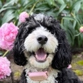   : Winnie