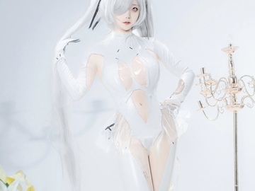 Selling with online payment: Cinderella NIKKE Cosplay (miccostumes/cosplayfm)