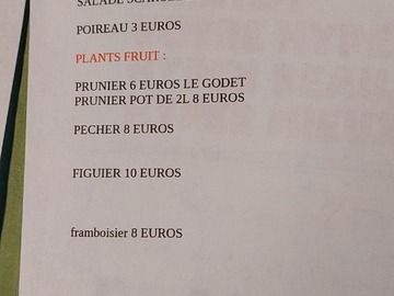 Vente: Vends plants pruniers,pêchers 