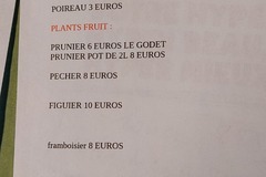 Sales: Vends plants pruniers,pêchers 