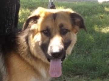   : Charlie
