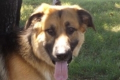   : Charlie