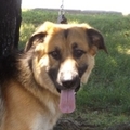   : Charlie