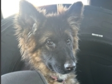   : Lucy 