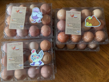 Selling with online payment: Farm Fresh Clean Brown Eggs (Brockway, PA)