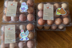 Selling with online payment: Farm Fresh Clean Brown Eggs (Brockway, PA)