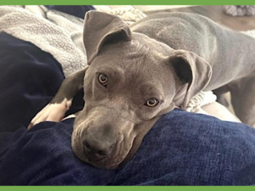  : Jada